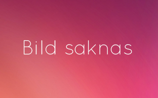Bild saknas